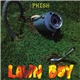 Phish - Lawn Boy